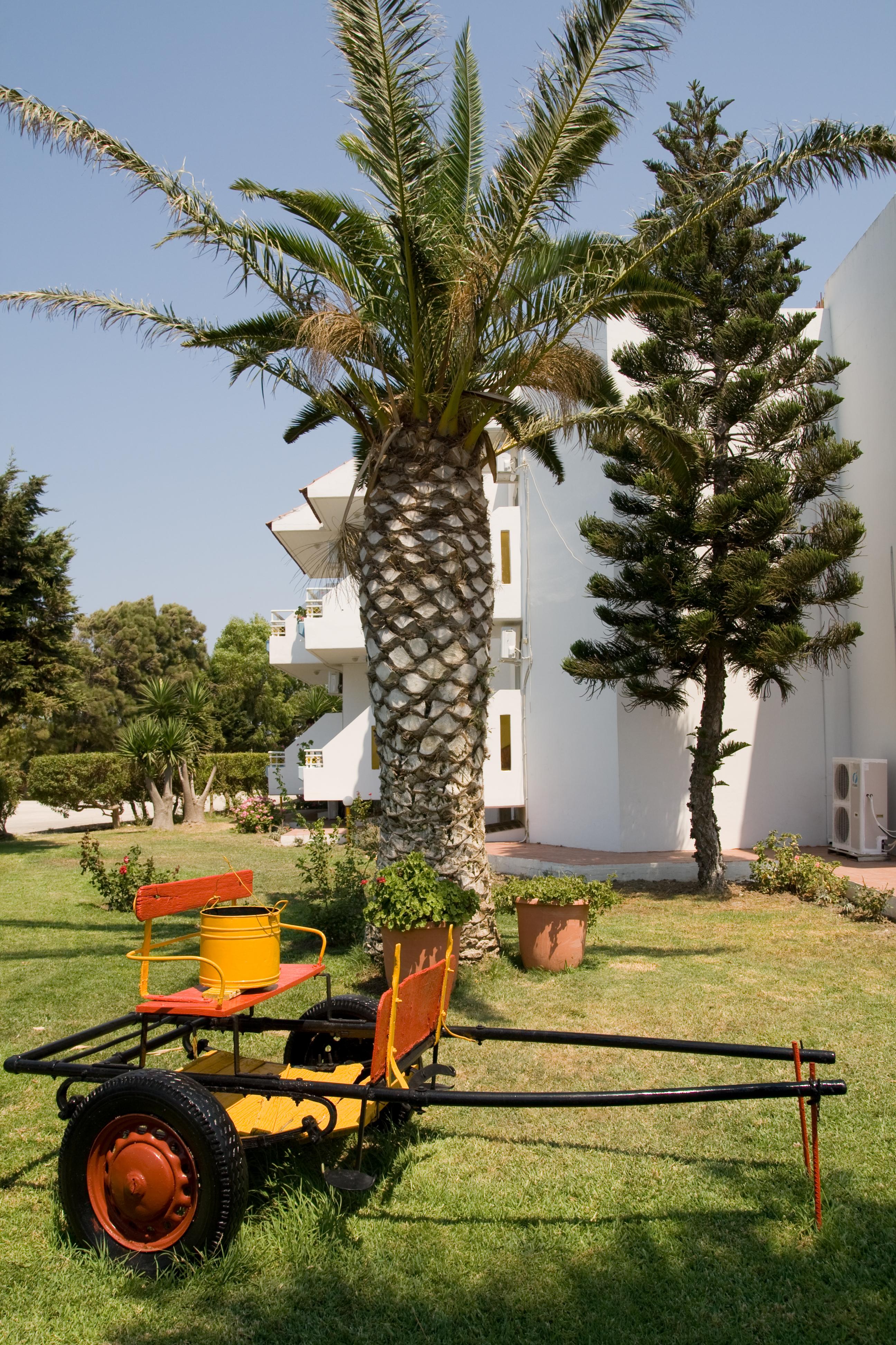 Hotel Asteria Agios Kirykos  Exterior photo